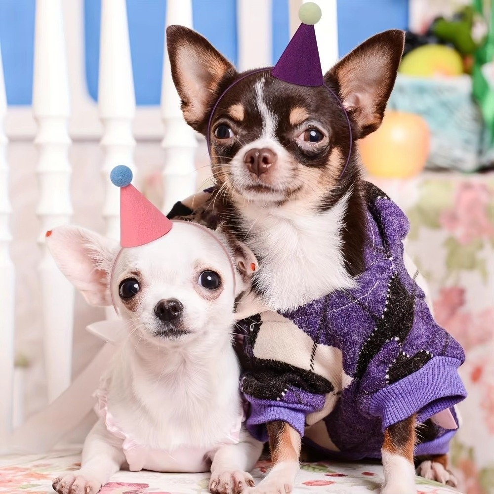 Wiederverwendbares 6-teiliges  – Party Hat Cone Bewertung und Preis