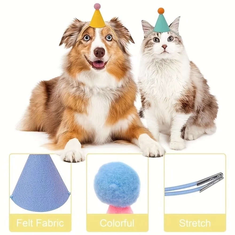 Wiederverwendbares 6-teiliges  – Party Hat Cone Bewertung und Preis